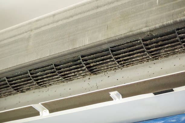 Best Air Quality Test  in Maywood, CA
