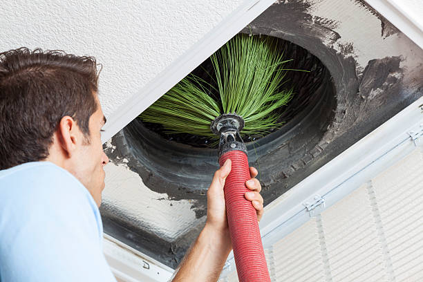Best Professional Duct Cleaning Services  in Maywood, CA