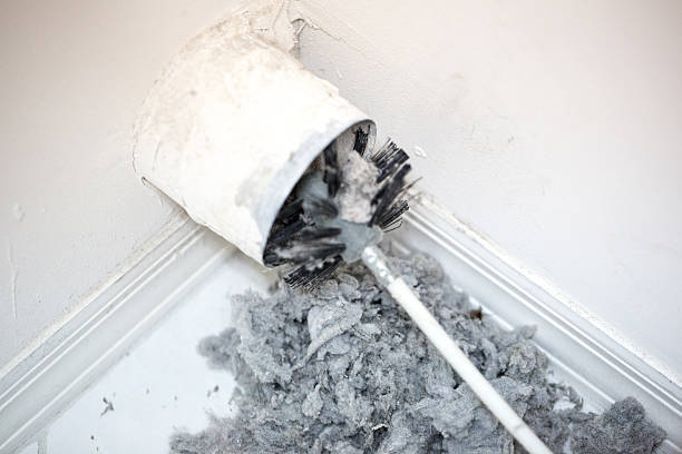 Best Affordable Duct Cleaning Services  in Maywood, CA